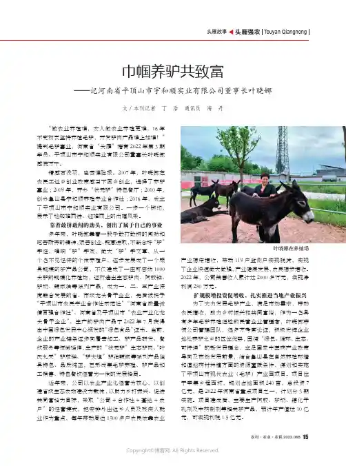 巾帼养驴共致富——记河南省平顶山市宇和顺实业有限公司董事长叶晓娜