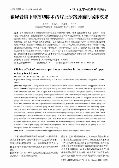 输尿管镜下肿瘤切除术治疗上尿路肿瘤的临床效果