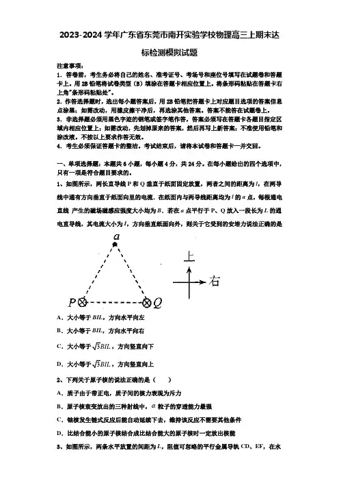 2023-2024学年广东省东莞市南开实验学校物理高三上期末达标检测模拟试题含解析