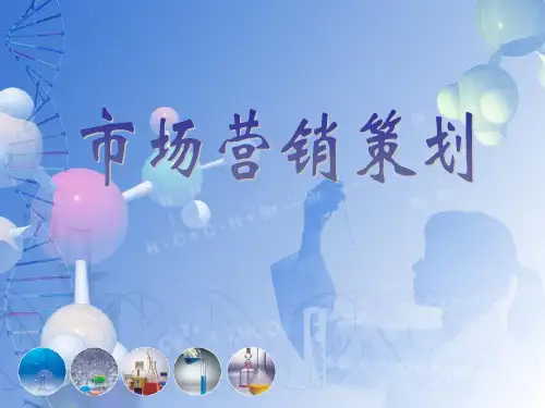 市场营销策划电子教案