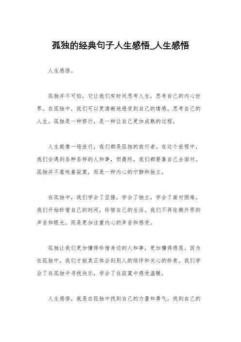 孤独的经典句子人生感悟_人生感悟