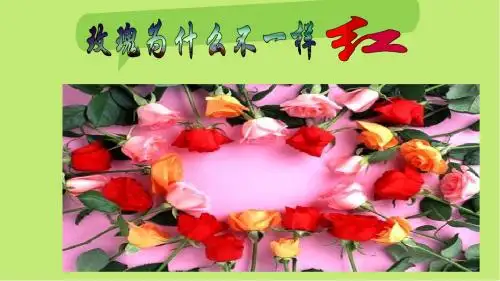 第五节_生物的变异_Microsoft_PowerPoint_演示文稿