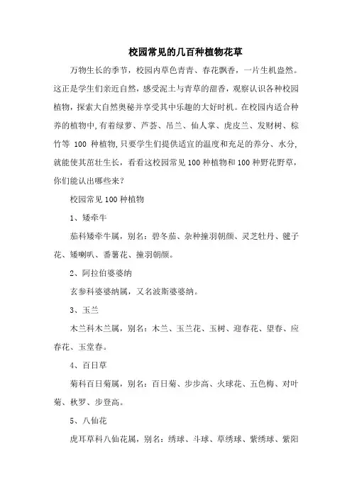 校园常见的几百种植物花草