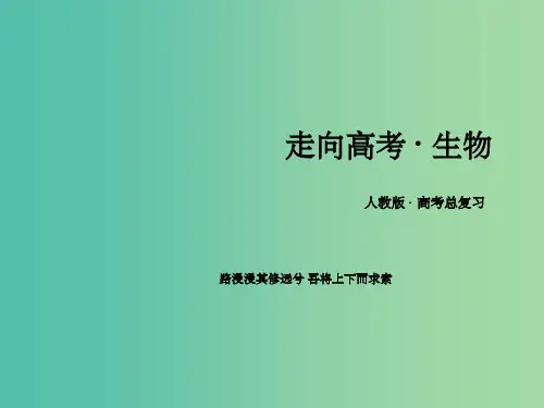 高三生物一轮复习 第4单元 第1讲 生物的变异课件