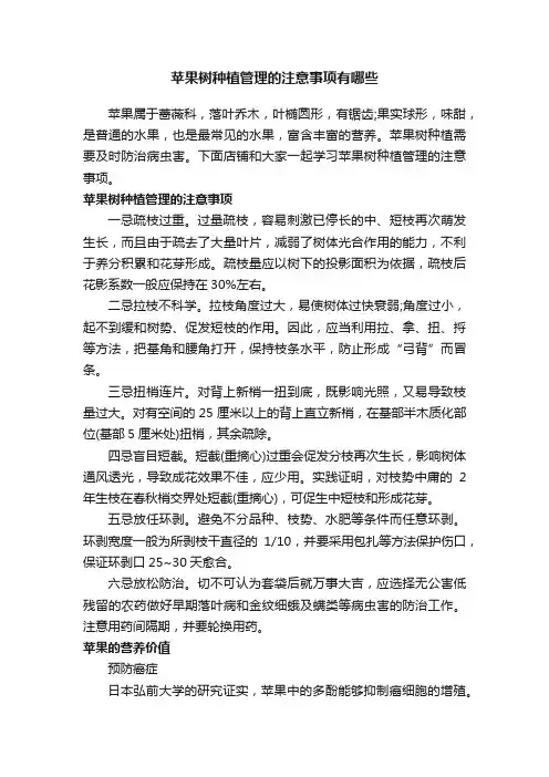 苹果树种植管理的注意事项有哪些