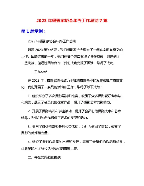 2023年摄影家协会年终工作总结7篇
