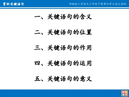 赏-析-关-键-语-句ppt课件.ppt