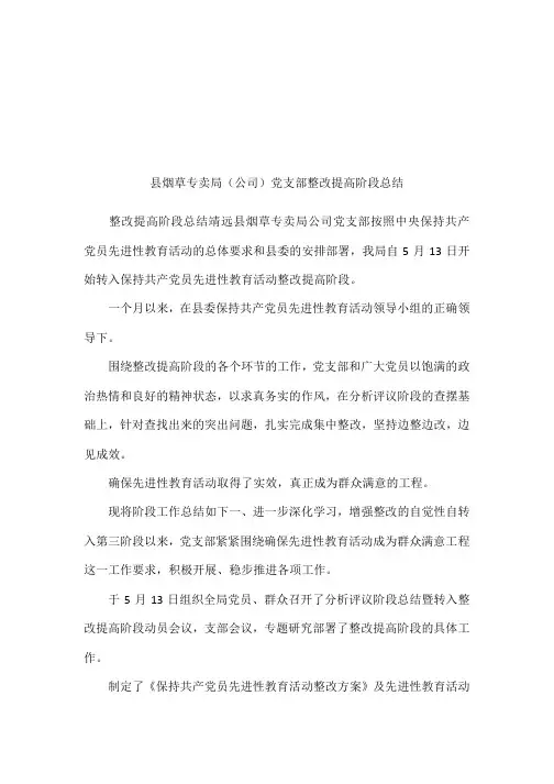 县烟草专卖局(公司)党支部整改提高阶段总结