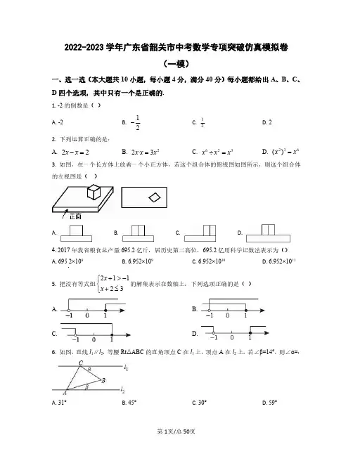 2022-2023学年广东省韶关市中考数学专项突破仿真模拟卷(一模二模)含答案