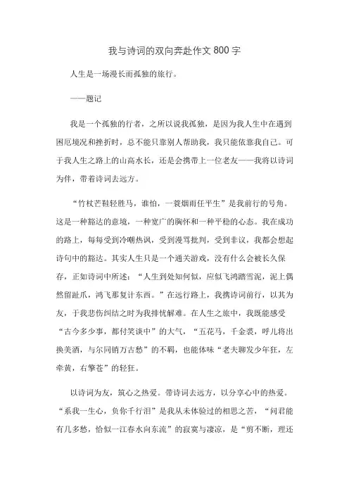 我与诗词的双向奔赴作文800字
