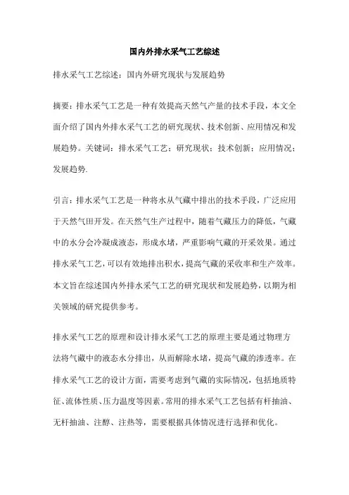 国内外排水采气工艺综述