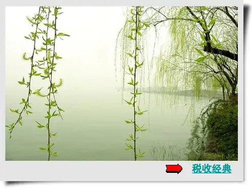第4章 税收原则和税收负担
