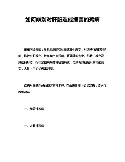 如何辨别对肝脏造成损害的鸡病