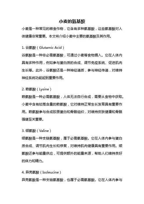 小麦的氨基酸