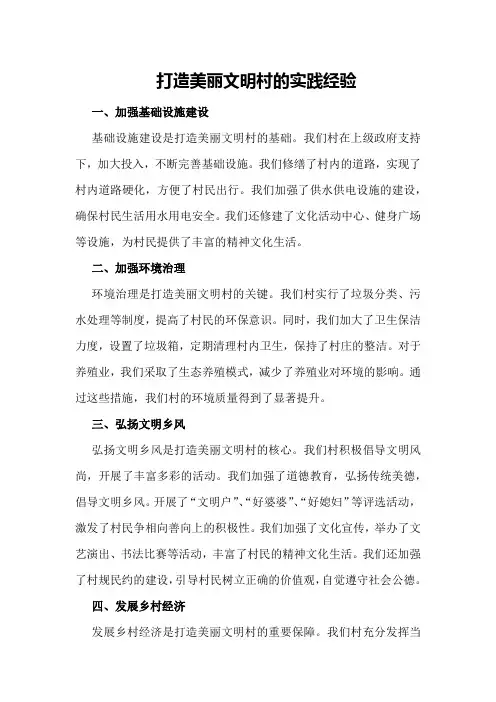 打造美丽文明村的实践经验