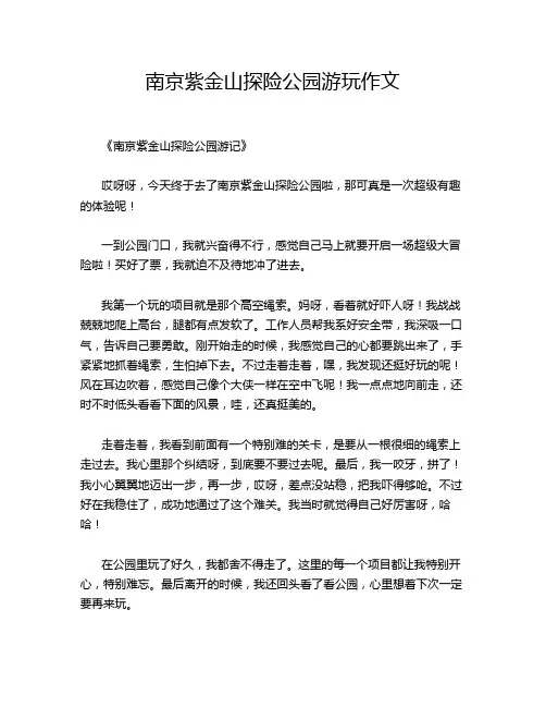 南京紫金山探险公园游玩作文