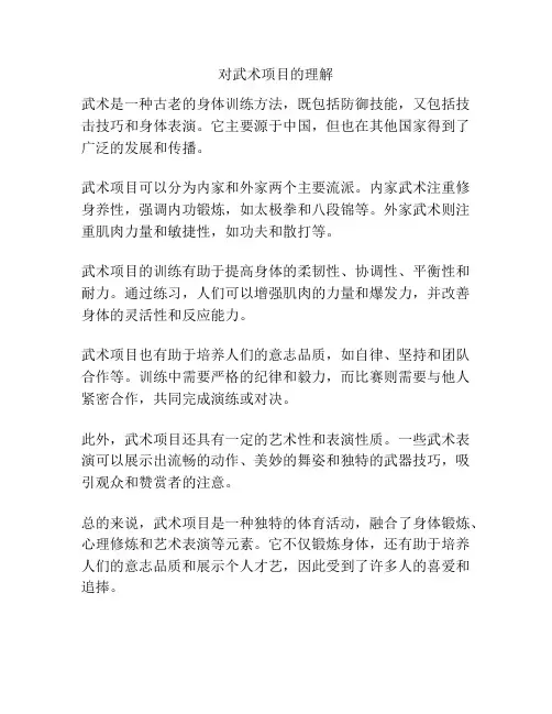 对武术项目的理解