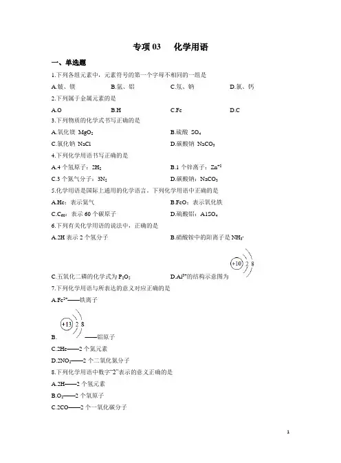 2024中考化学核心考点优化训练：专项化学用语(含解析)