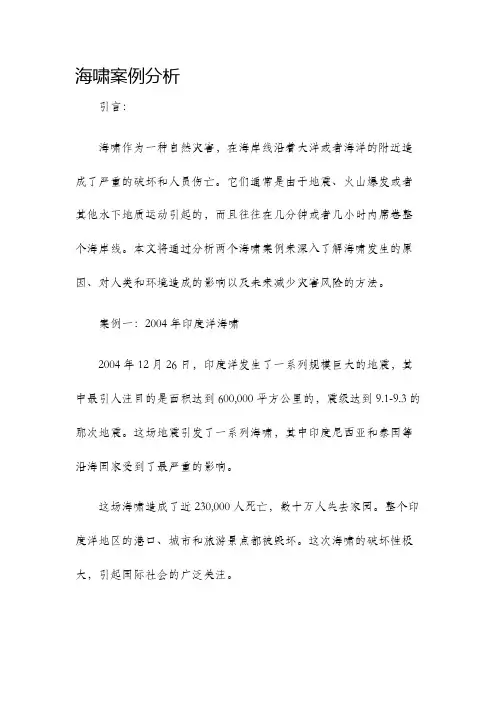 海啸案例分析
