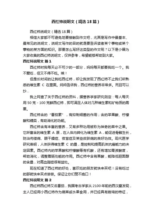 西红柿说明文（精选18篇）