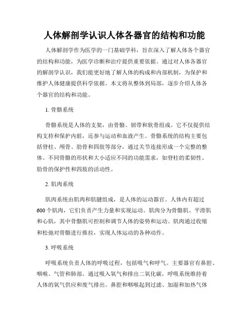 人体解剖学认识人体各器官的结构和功能