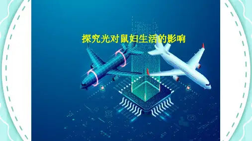 1-2-1 实验-探究光对鼠妇生活的影响-七年级生物上册精选课件(人教版)