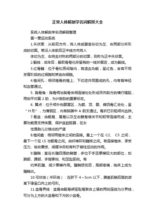 正常人体解剖学名词解释大全