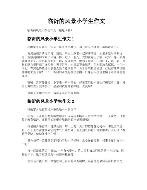 临沂的风景小学生作文