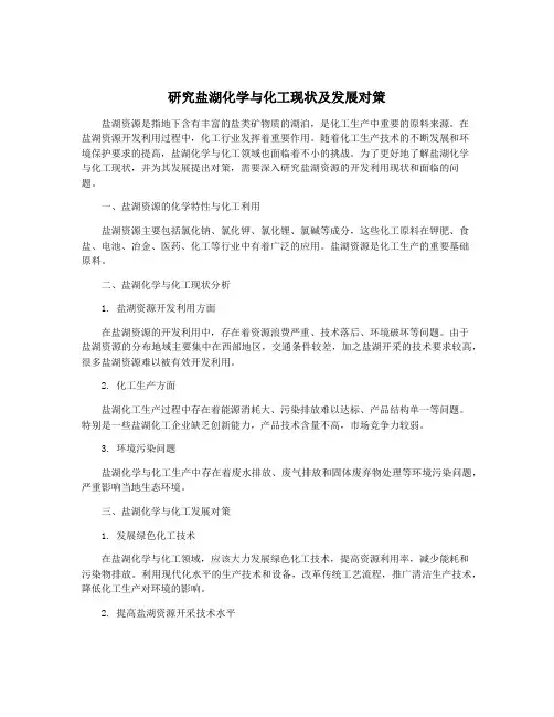 研究盐湖化学与化工现状及发展对策