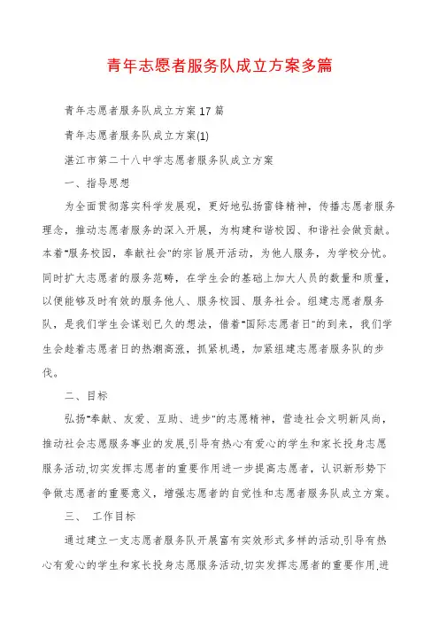 青年志愿者服务队成立方案多篇