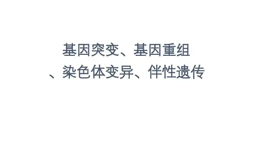 基因突变、基因重组、染色体变异和伴性遗传复习课件