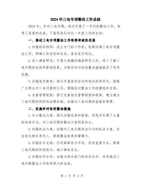 2024年三电专项整治工作总结