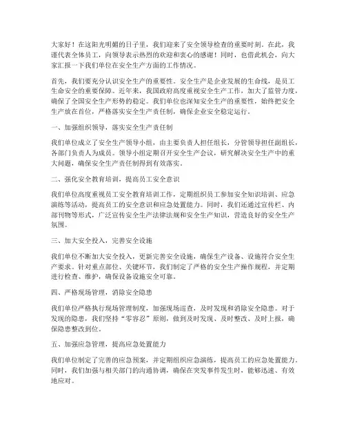 迎接安全领导检查发言稿