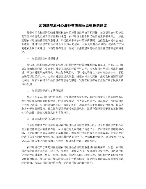 加强基层农村经济经营管理体系建设的建议