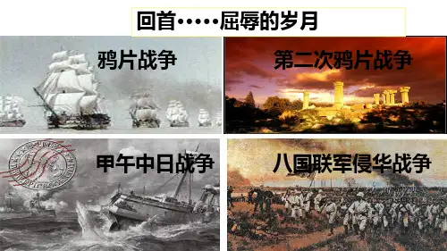 2018年人教版历史近代化探索专题复习