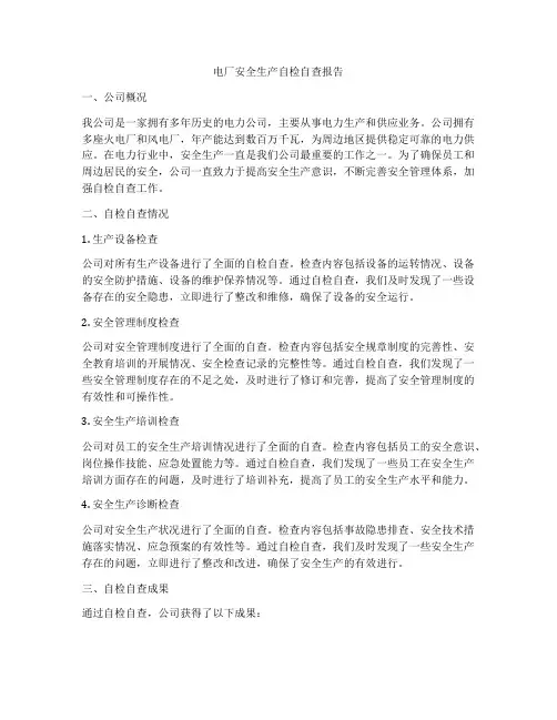 电厂安全生产自检自查报告