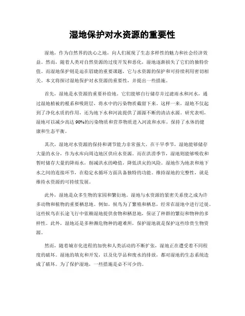 湿地保护对水资源的重要性