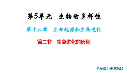 16.2++生物进化的历程++课件-2024-2025学年苏教版生物八年级上册