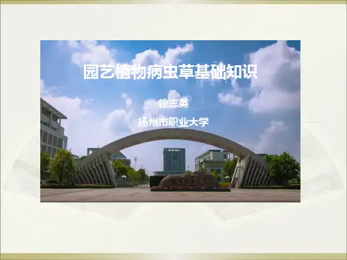 园艺植物病虫草基础知识02-PPT-第3节 常用农药使用技术_41