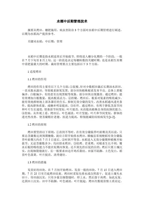 水稻中后期管理技术