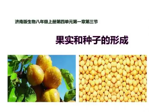 济南版八年级生物上册4.1.3《果实和种子的形成》课件(精品)