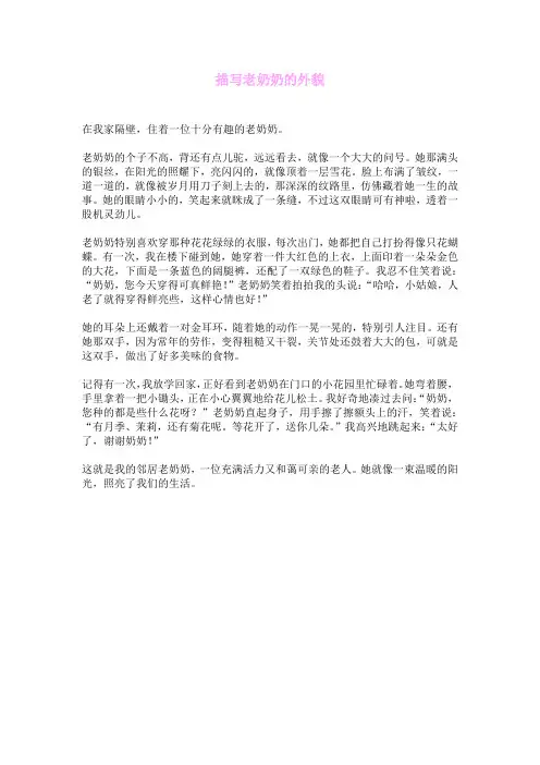 描写老奶奶的外貌