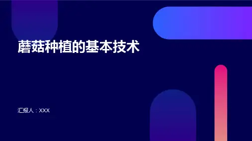 种蘑菇的基本技术流程