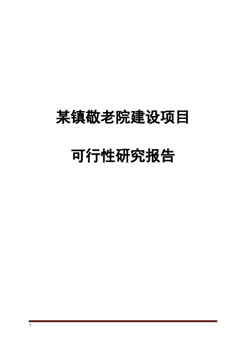 某乡镇敬老院建设项目可行性研究报告