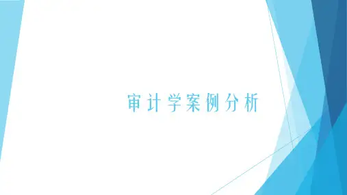 审计循环案例分析