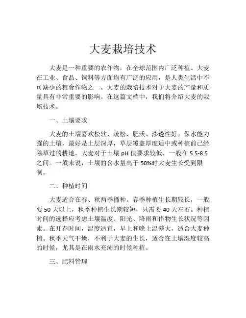 大麦栽培技术