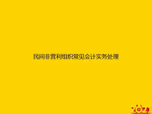 民间非营利组织常见会计实务处理ppt正式完整版