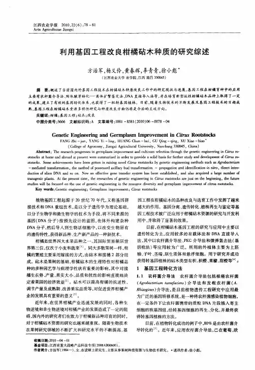 利用基因工程改良柑橘砧木种质的研究综述