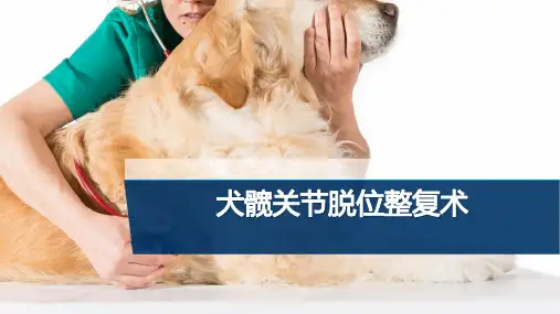 【宠物外产科病课件】犬髋关节脱位整复术