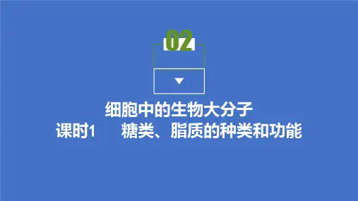 2021-高中生物苏教版必修一课件 苏教 第二章第二节 细胞中的生物大分子 